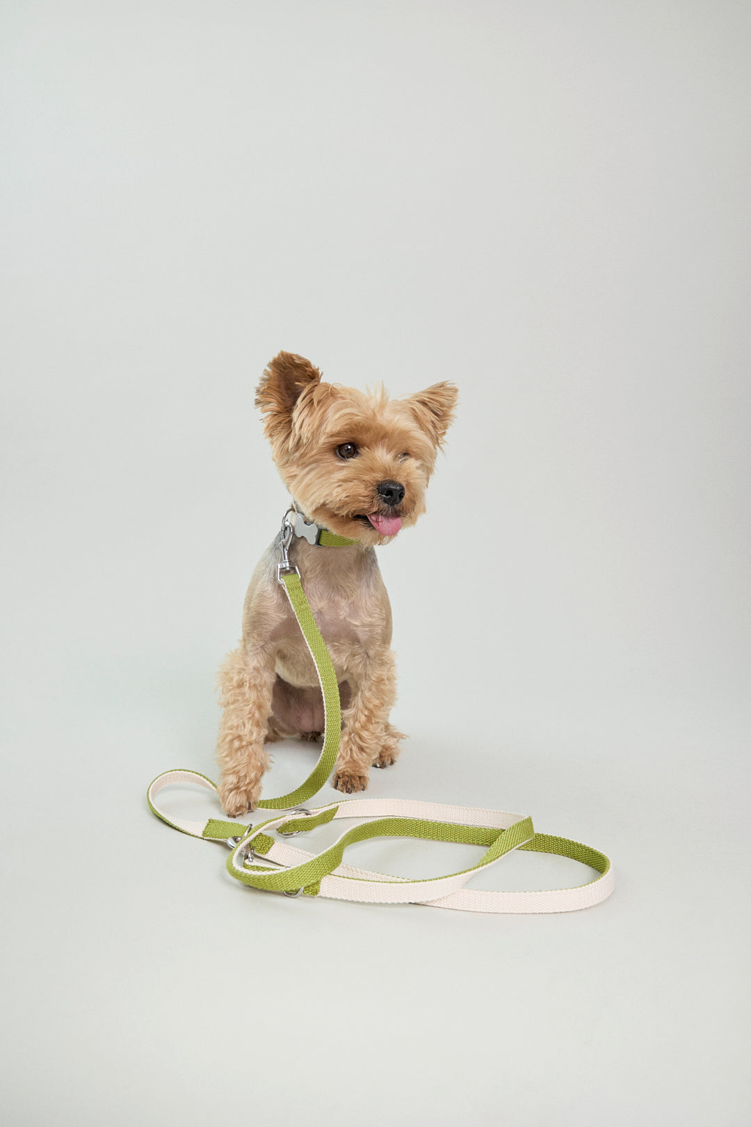 Dog cotton walking leash adjustable wearable 2 meters multicolour multifuntional cream white green Molipop