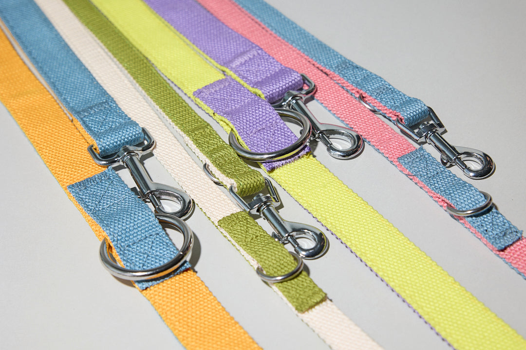 Dog cotton harness leash multicolour multifuntional adjustable for two dogs wearable pink blue orange purple lilac yellow cream white green Molipop